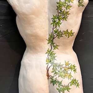 Yedra by ALESSANDRA ALBIN, Image 1.