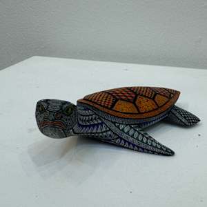 Tortuga Atenta by DAVID HERNANDEZ, Image 1.