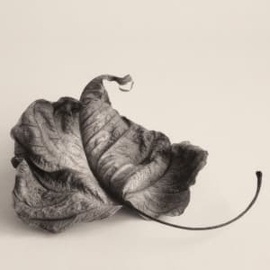 Intimate Meditation  13 by Carlos Ocando, Image 1.