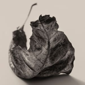 Intimate Meditation  3 by Carlos Ocando, Image 1.