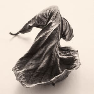 Intimate Meditation  4 by Carlos Ocando, Image 1.