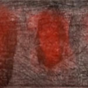 Soles by DIDIER MAYES