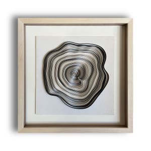 Growth Rings No.1 by Paulina M Johnson