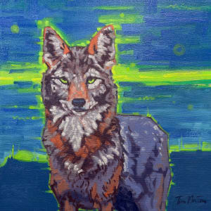 Green Eyed Coyote by Tim Norton