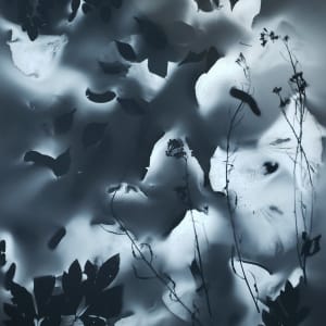 A Liberal Herbarium by Madge Evers