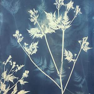 Murmur, iii by Madge Evers