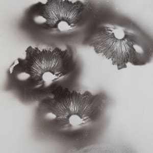 Hold Fast, Dreamers by Madge Evers