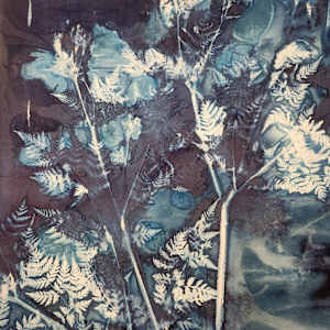 Murmur, ii by Madge Evers