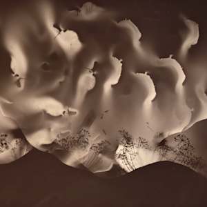 Umbels and Hills by Madge Evers