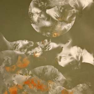 Shape Shifting by Madge Evers