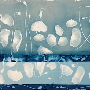 Undersea World of Poppies I 1/20 by Madge Evers