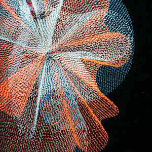 Bioluminescence 3 by Susan Hensel 
