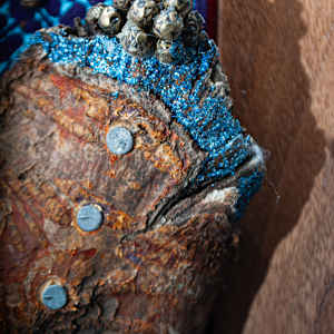 Flotsam 2 by Susan Hensel 