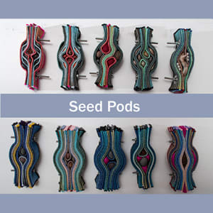Seed Pod 7 by Susan Hensel  Image: Seed Pods 2-11