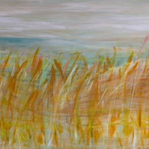 Field of Dreams by Dianne Alchin