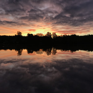 Golden Morning Series© - Item #0845 by Lake Orange Sunrises LLC, Lisa Francescon, Owner