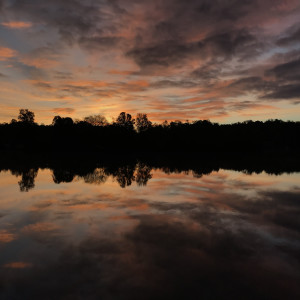 Golden Morning Series© - Item #0866 by Lake Orange Sunrises LLC, Lisa Francescon, Owner