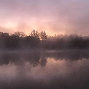 Orange Fog Series© - Item #1030 by Lake Orange Sunrises LLC, Lisa Francescon, Owner