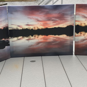 Pure Pink Joy Series© - Item #3264 by Lake Orange Sunrises LLC, Lisa Francescon, Owner 