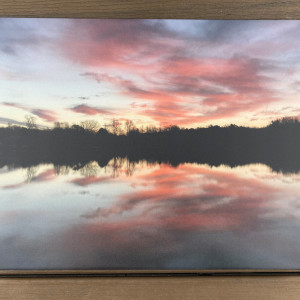 Pure Pink Joy Series© - Item #3256 by Lake Orange Sunrises LLC, Lisa Francescon, Owner 