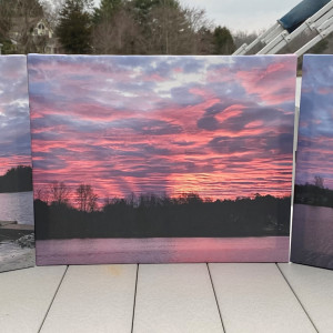 Wicked Pink Series© - Item #2529 by Lake Orange Sunrises LLC, Lisa Francescon, Owner 