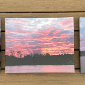 Wicked Pink Series© - Item #2533 by Lake Orange Sunrises LLC, Lisa Francescon, Owner 