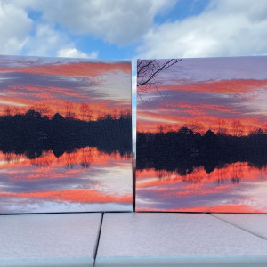 Oozing with Beauty Series© - Item #0378 by Lake Orange Sunrises LLC, Lisa Francescon, Owner 