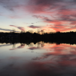 Pure Pink Joy Series© - Item #3253 by Lake Orange Sunrises LLC, Lisa Francescon, Owner
