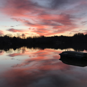 Pure Pink Joy Series© - Item #3264 by Lake Orange Sunrises LLC, Lisa Francescon, Owner