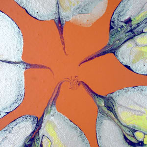 Orange Flower by L.A. Pagan  Image: close-up