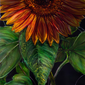 Sunflower Hug by James Norman Paukert 