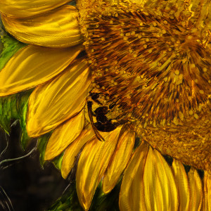Yellow Sunflower by James Norman Paukert  Image: Special home & garden show price till 2/11/24 