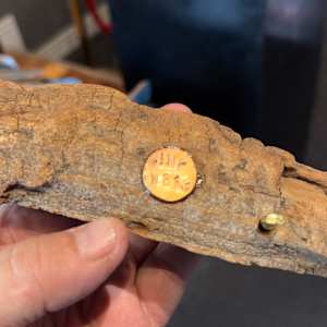 Ginger by James Norman Paukert 