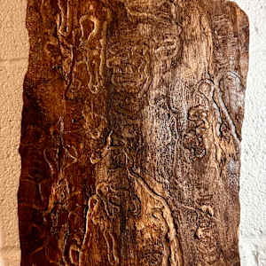 Wormsetta Wood-Communication by James Norman Paukert 