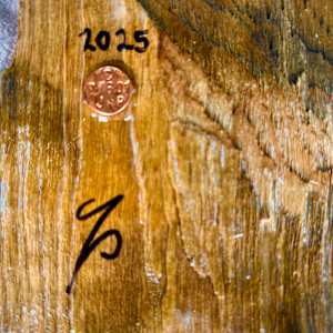 Wormsetta Wood-Communication by James Norman Paukert  Image: Cataloged 