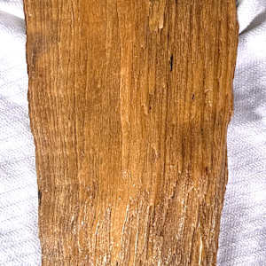 Wormsetta Wood-Communication by James Norman Paukert  Image: Back