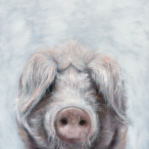 The Pig by Kristine Andrea