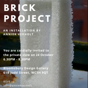 The Brick Project 
