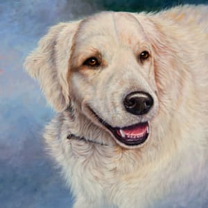 Darcy by cory Carlson