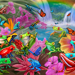 Frog Paradise