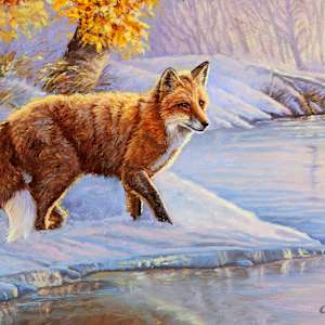 Frosty Dawn by cory Carlson, Image 1.