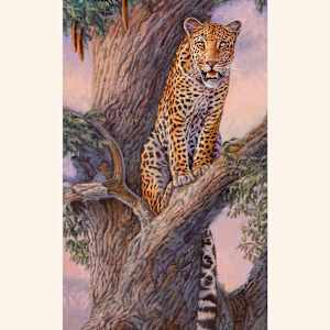 The Lookout by cory Carlson