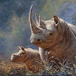 Khuseleka by cory Carlson