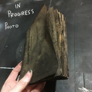 The Long Quiet Episode by Lydia Burris 
