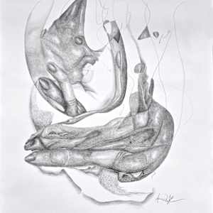 Breathing Assembly by Anna Test 