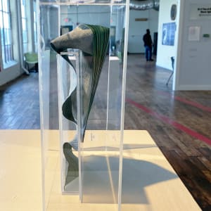 Specimen, Cytoplasm (& membrane) by Anna Test 