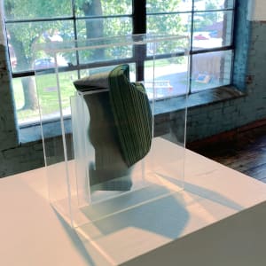 Specimen, Cytoplasm (& membrane) by Anna Test 