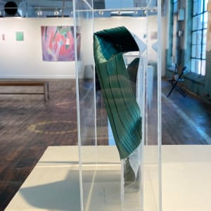 Specimen, Cytoplasm (& membrane) by Anna Test 