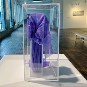 Specimen, Placenta (birth & death) by Anna Test 