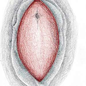 The body, mapped by Anna Test 